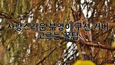 사랑스러운 부엉이 쿠션 커버 고르는 꿀팁🦉
